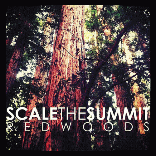 Scale The Summit : Redwoods
